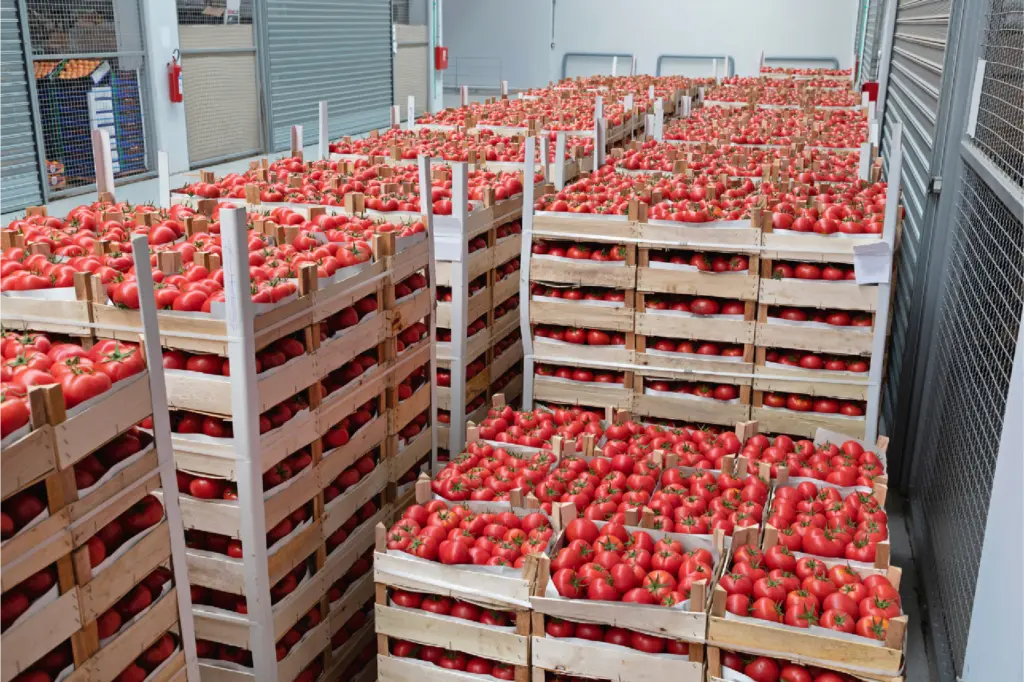 Inside the chilled and frozen storage areas optimized with voice-directed operations.